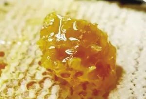 寧陜山珍 縣域公共品牌亮相古城西安，引領(lǐng)初級(jí)農(nóng)產(chǎn)品新風(fēng)尚