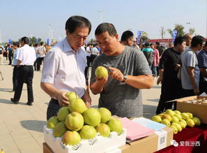 中國(guó)汾西第二屆核桃節(jié)暨消費(fèi)扶貧農(nóng)產(chǎn)品展銷(xiāo)會(huì)盛大開(kāi)幕，助力初級(jí)農(nóng)產(chǎn)品產(chǎn)業(yè)發(fā)展