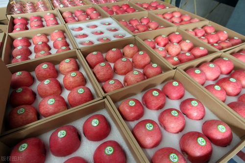 貨主拉蘋(píng)果蕉被收千元過(guò)路費(fèi) 農(nóng)產(chǎn)品分類(lèi)爭(zhēng)議引發(fā)關(guān)注