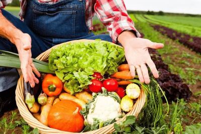 初級(jí)農(nóng)產(chǎn)品 定義、監(jiān)管與經(jīng)營(yíng)許可解讀